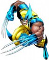 /album/galeria-de-fotos/wolverine14-jpg/
